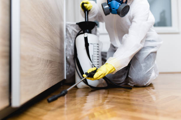 Best Emergency Pest Control  in Brilliant, OH
