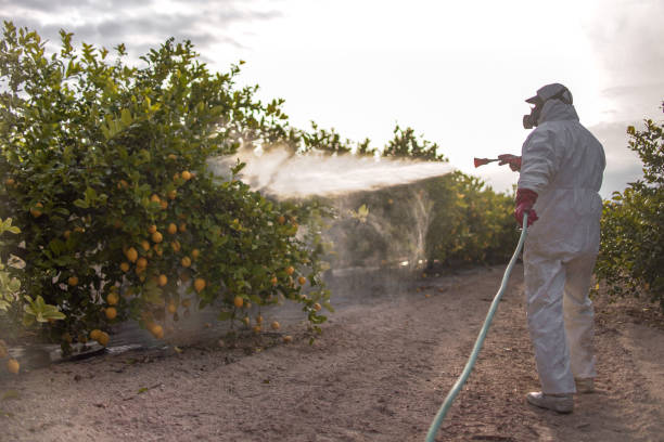 Best Commercial Pest Control Services  in Brilliant, OH